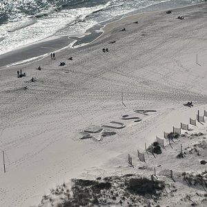 Meet your Posher, Katy